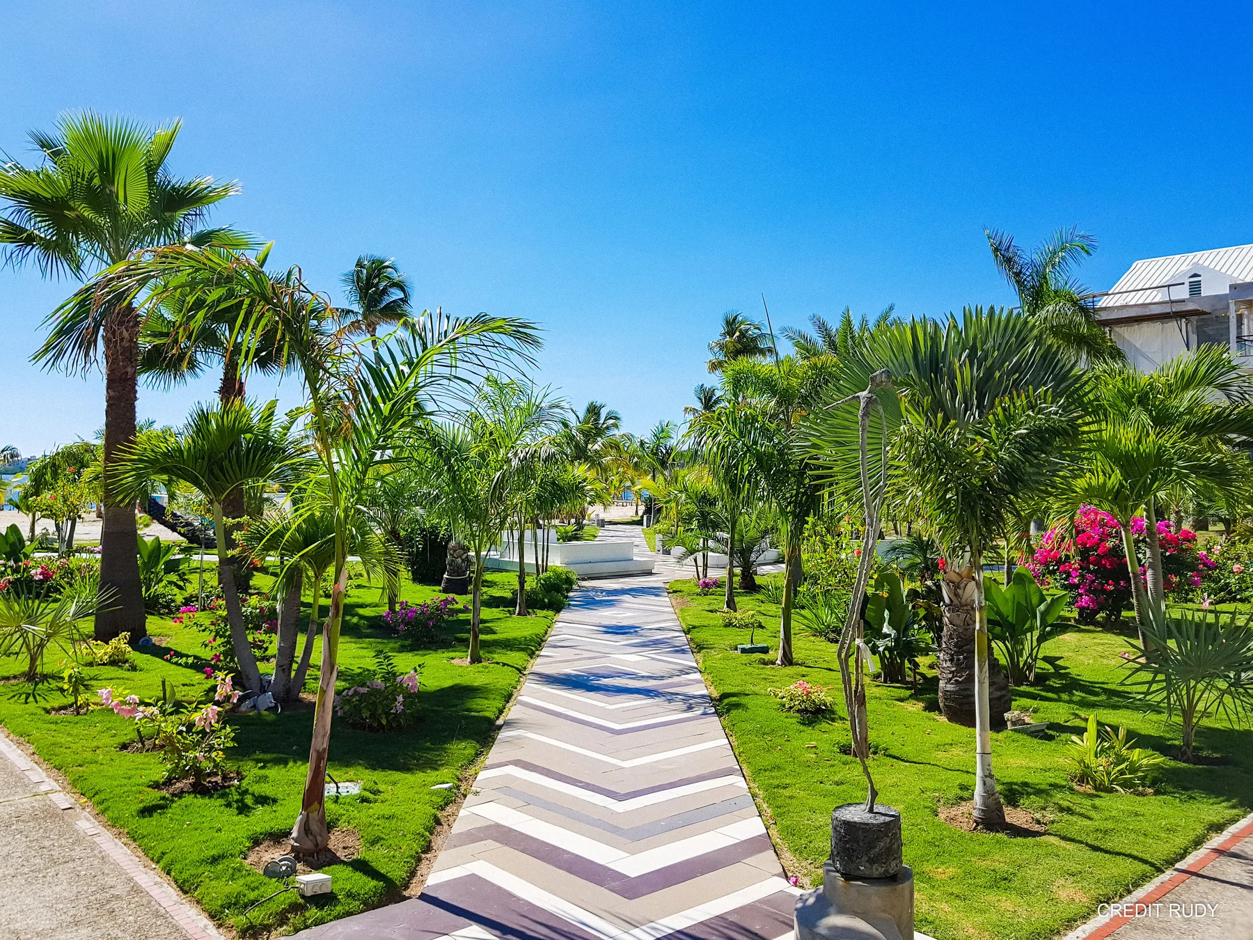 Palm-lined garden walkway at Hommage Hotel