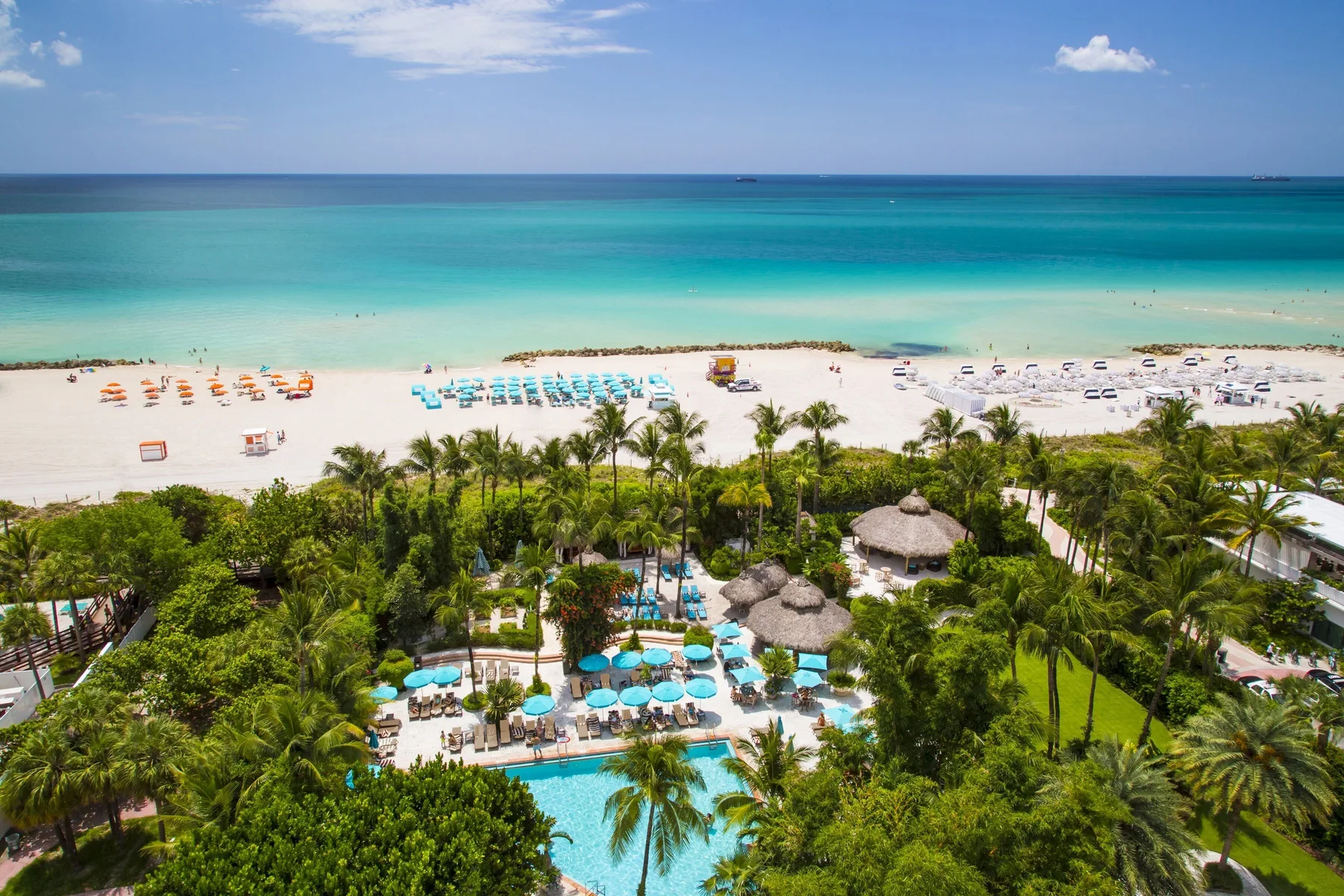 Beach, pool and ocean at The Palms Hotel and Spa